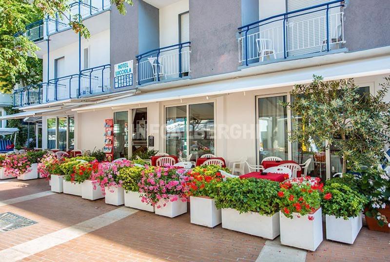 B&B Hotel Lucciola カットーリカ エクステリア 写真